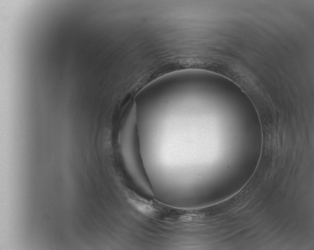 X0000072940700200607282203