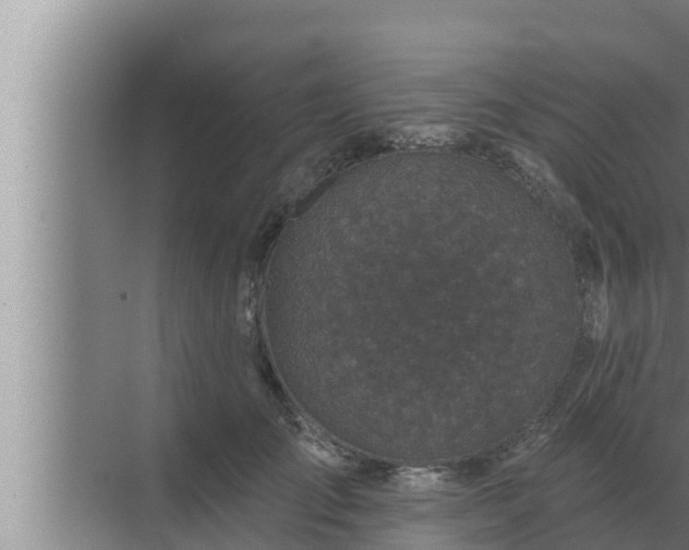 X0000072940701200607282203