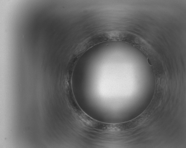 X0000072940702200607282203