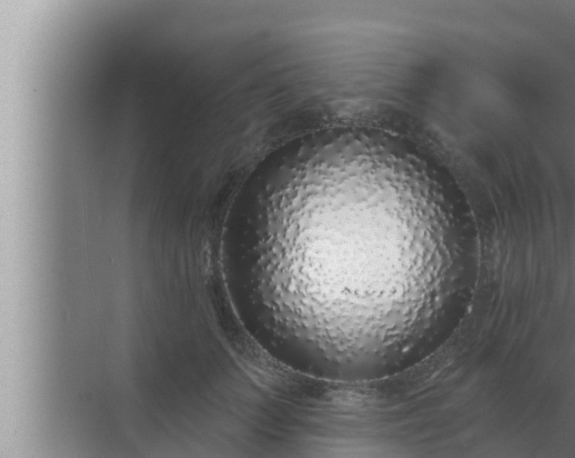 X0000072940703200607282203