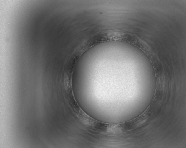 X0000072940705200607282203