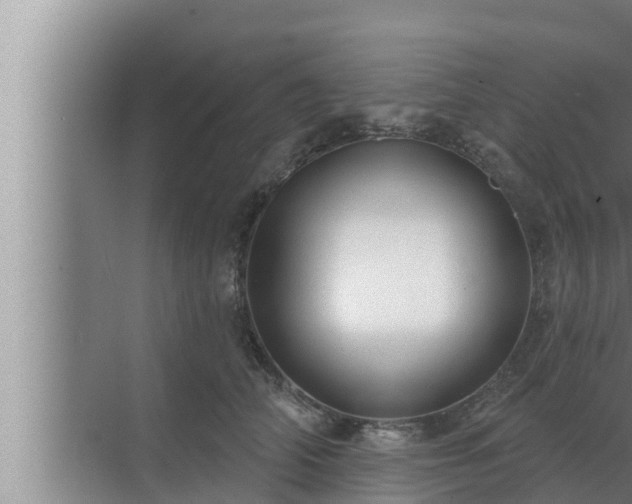 X0000072940706200607282203