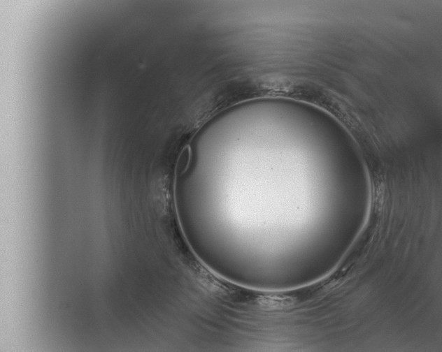 X0000072940707200607282203