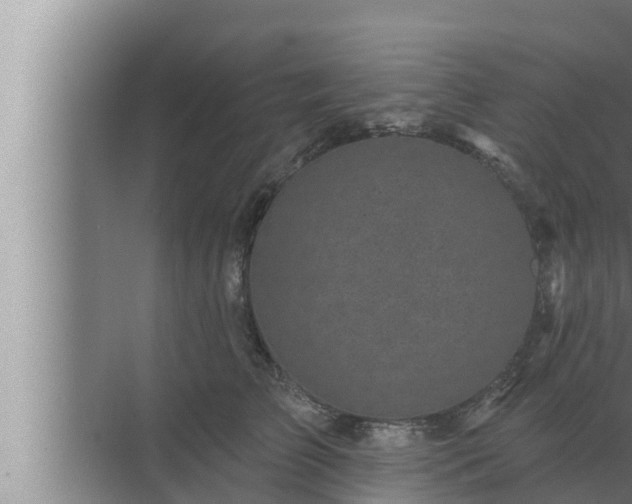 X0000072940709200607282203