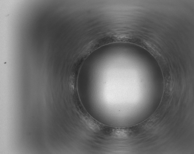 X0000072940710200607282203