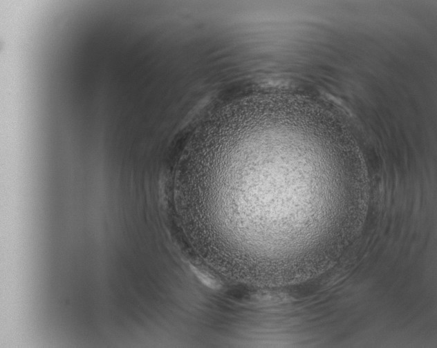 X0000072940712200607282203