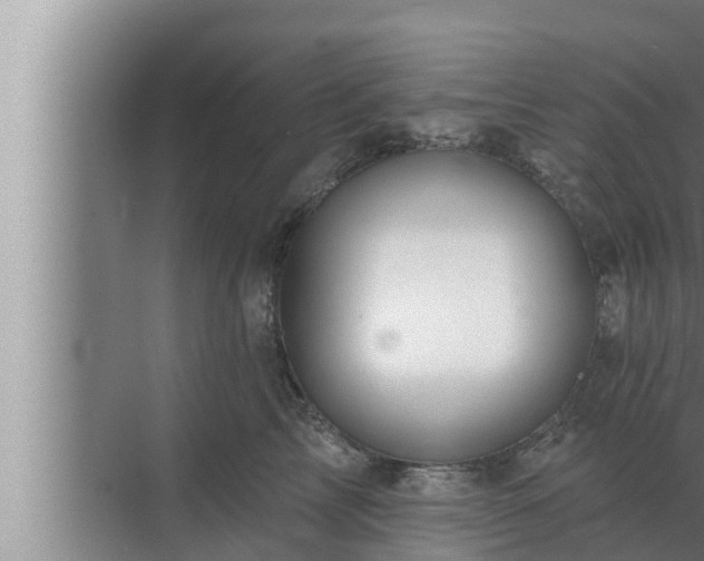 X0000072940713200607282203