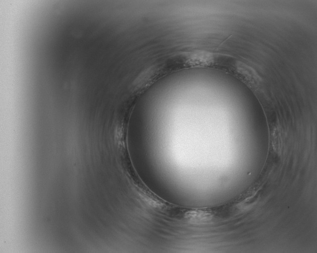 X0000072940714200607282203