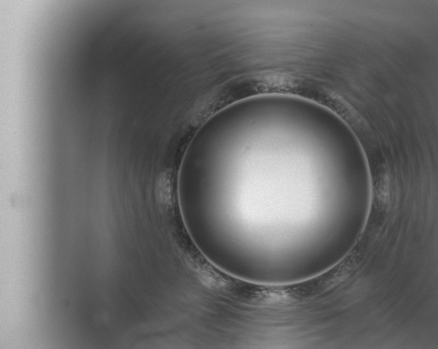 X0000072940715200607282203