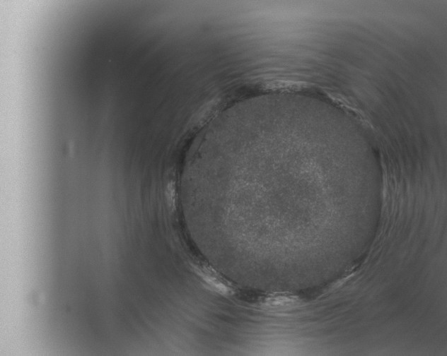 X0000072940716200607282203