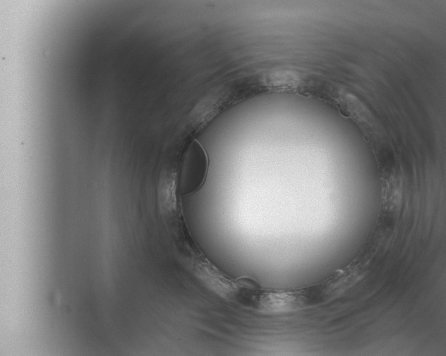 X0000072940717200607282203