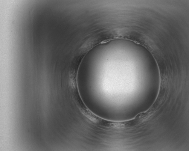 X0000072940719200607282203