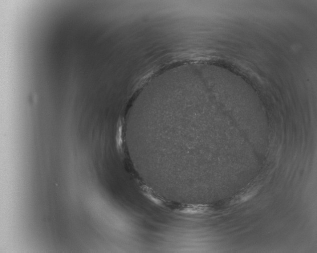 X0000072940720200607282203