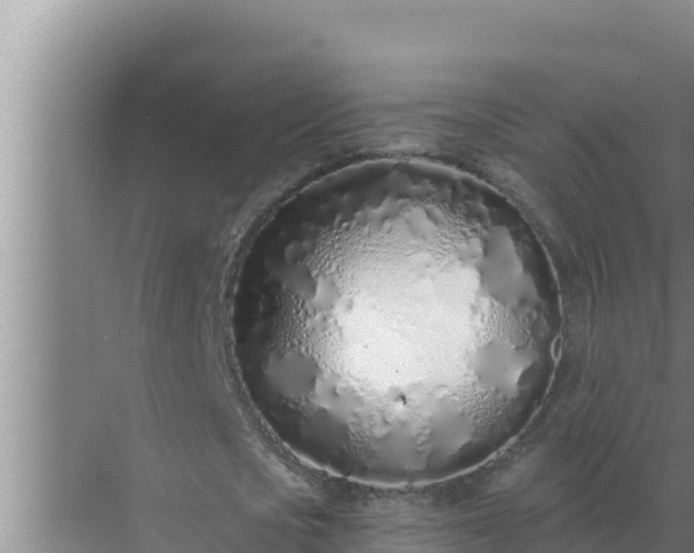 X0000072940721200607282202