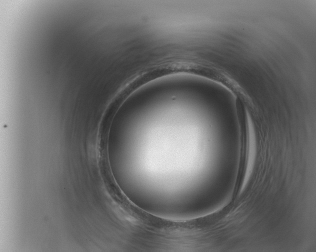 X0000072940722200607282202