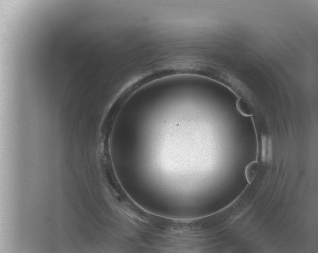 X0000072940723200607282202