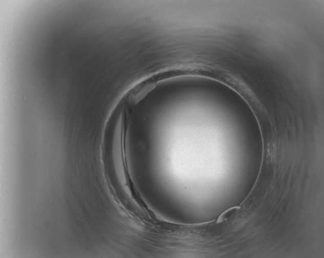 X0000072940724200607282202