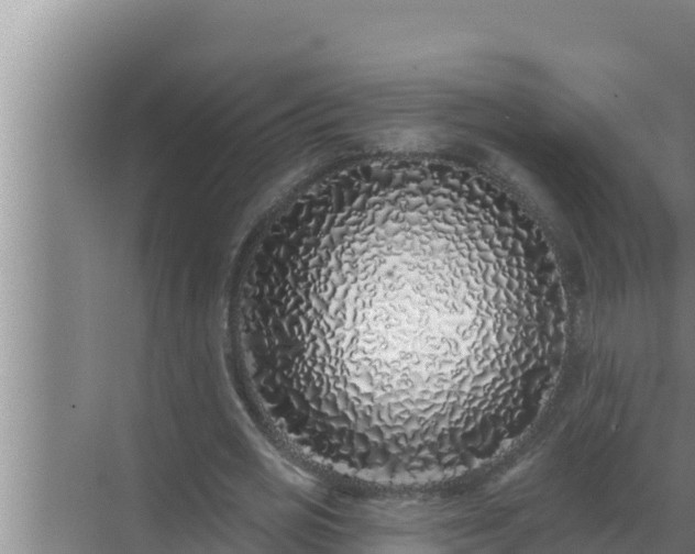 X0000072940725200607282202