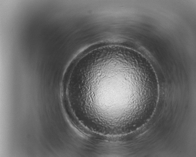 X0000072940726200607282202