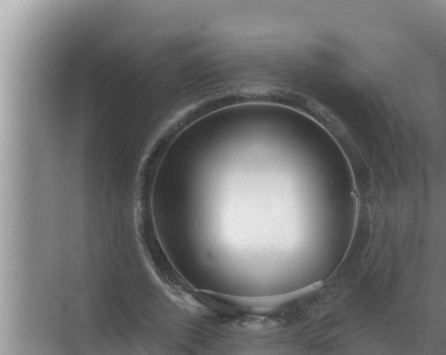 X0000072940728200607282202