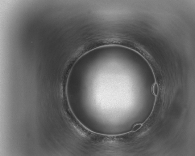 X0000072940729200607282202