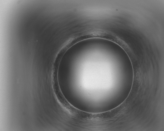 X0000072940730200607282202