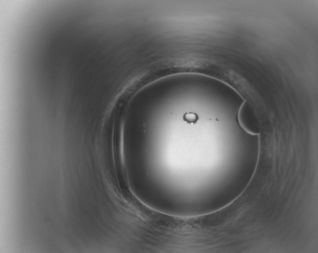 X0000072940731200607282202