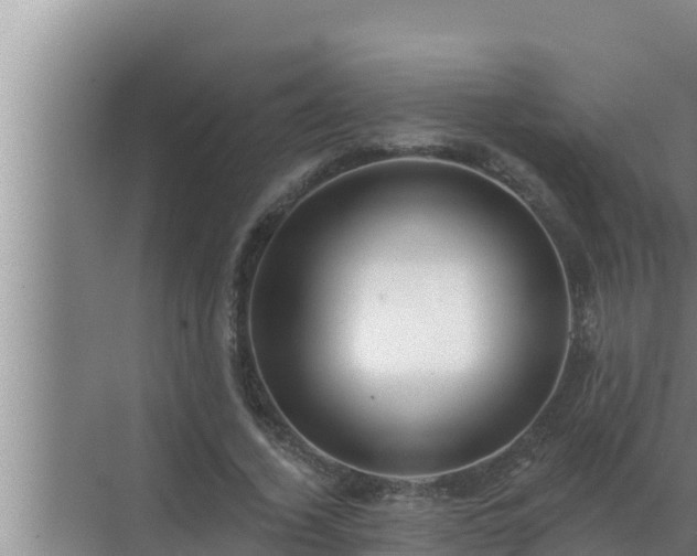 X0000072940732200607282202