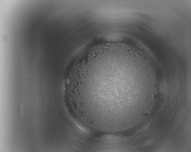 X0000072940733200607282203