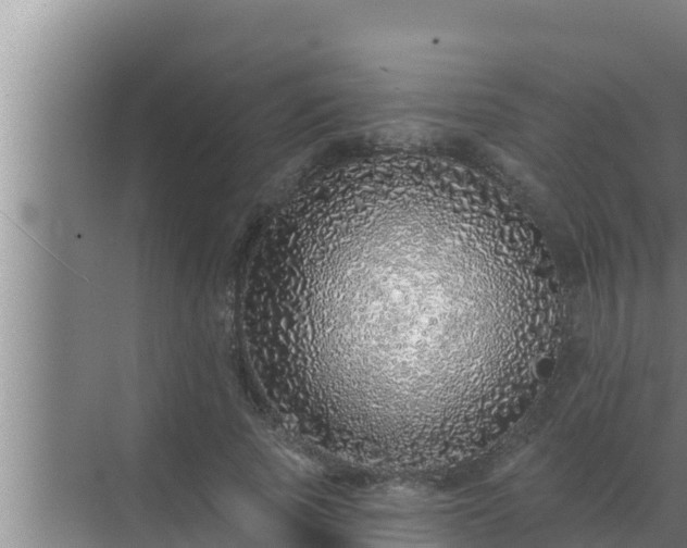 X0000072940737200607282203