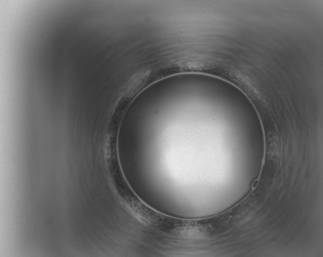 X0000072940738200607282203