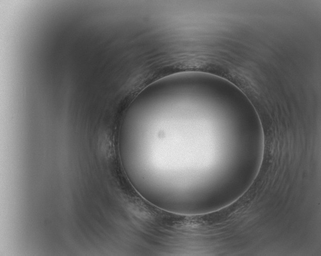 X0000072940743200607282203