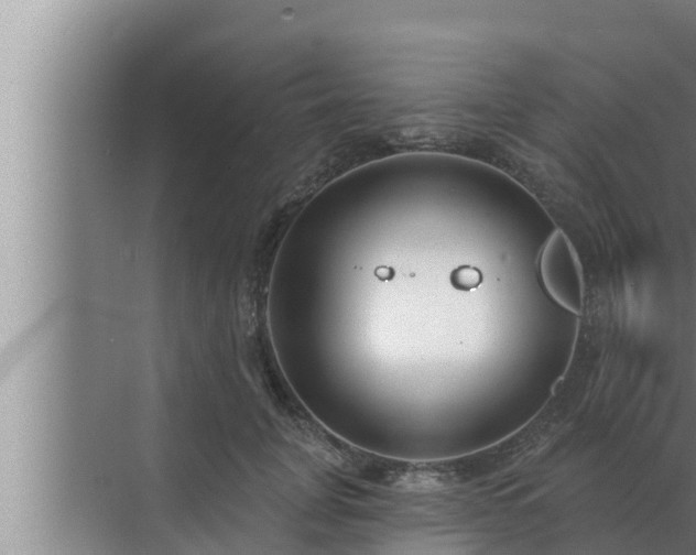 X0000072940751200607282203