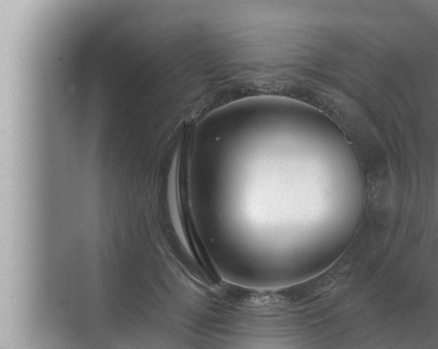 X0000072940752200607282203