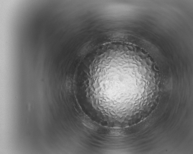 X0000072940753200607282203