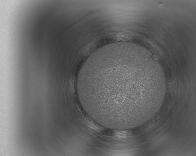 X0000072940757200607282203