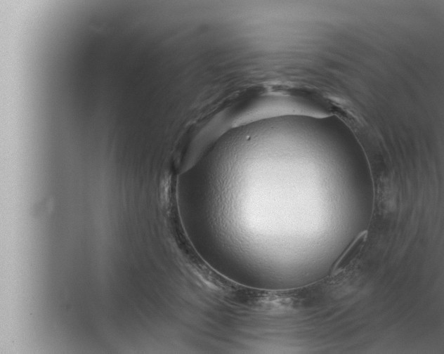 X0000072940760200607282203