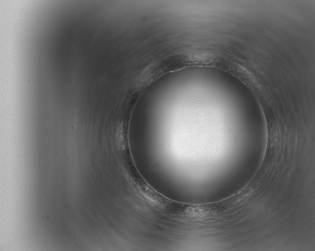 X0000072940764200607282203