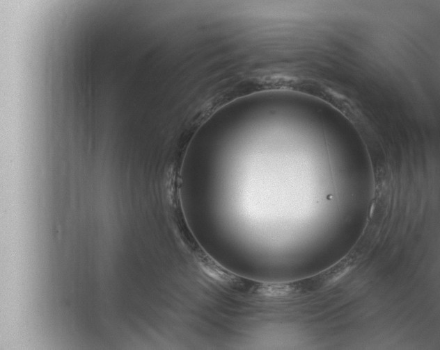 X0000072940767200607282203