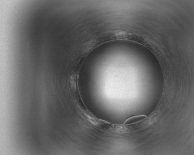 X0000072940768200607282203