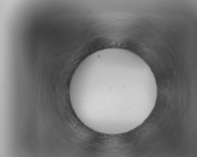 X0000072940769200607282202