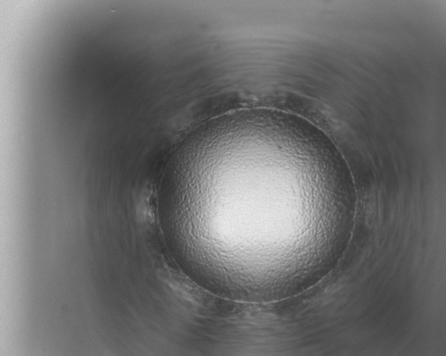 X0000072940770200607282202