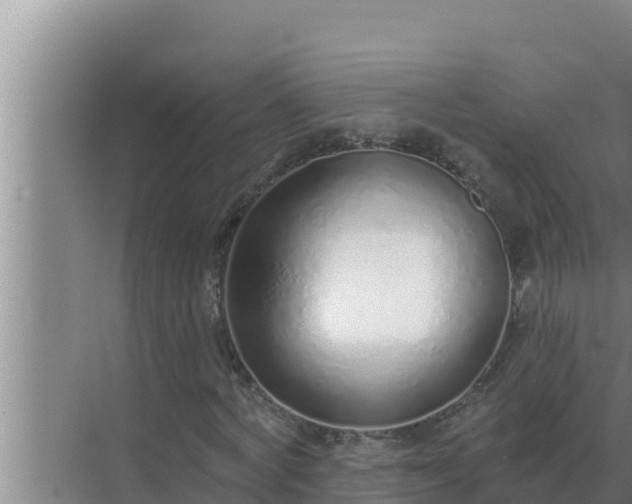 X0000072940772200607282202