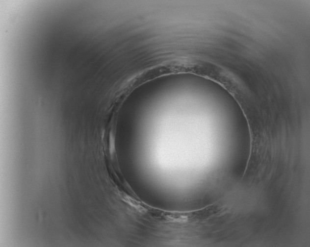 X0000072940773200607282202