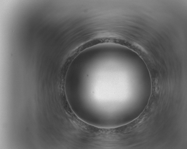 X0000072940775200607282202