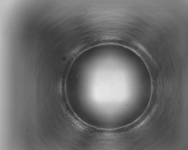 X0000072940777200607282202