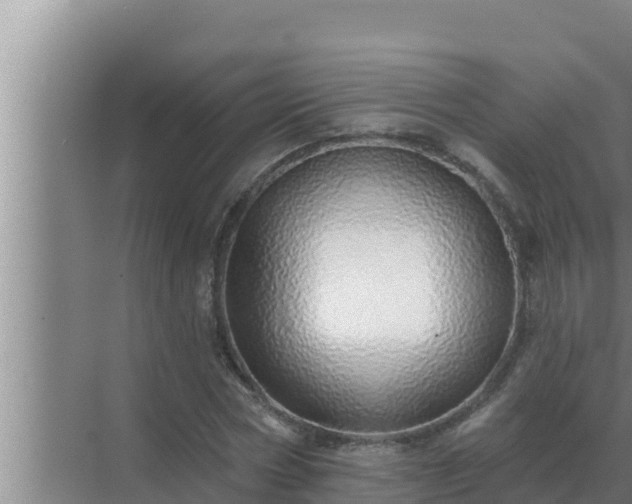 X0000072940778200607282202