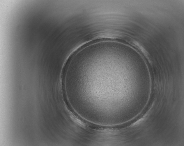 X0000072940779200607282202