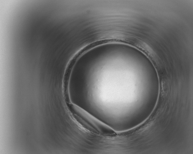 X0000072940780200607282202