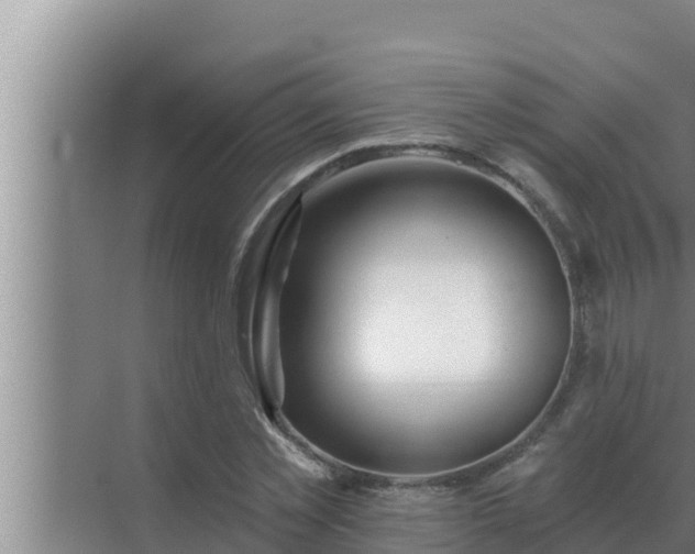 X0000072940781200607282202